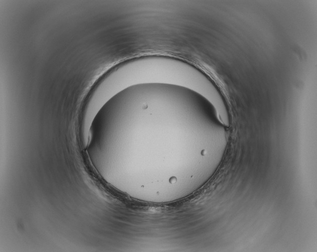 X0000110680060200907101136