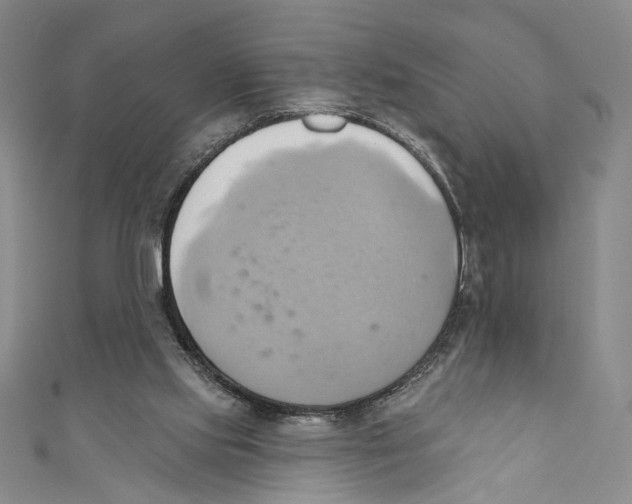 X0000110680061200907101136