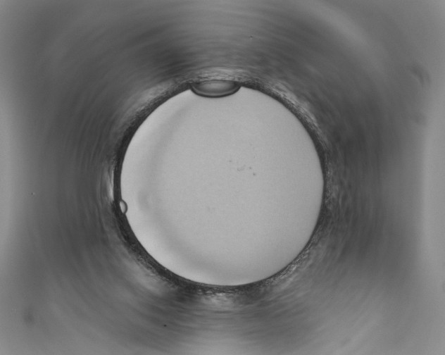 X0000110680062200907101136