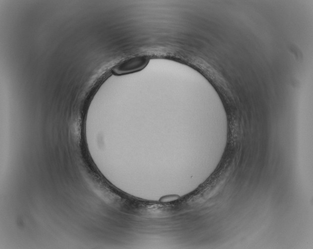 X0000110680064200907101136