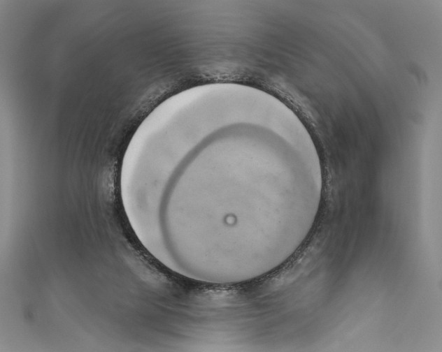 X0000110680065200907101136
