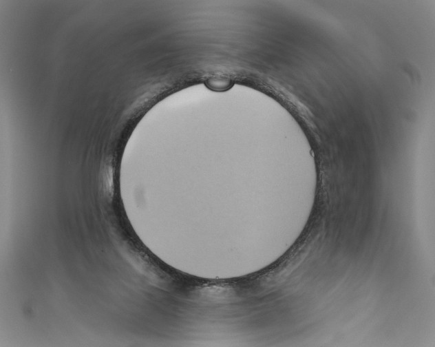 X0000110680067200907101136