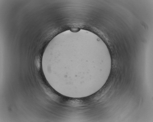X0000110680069200907101136