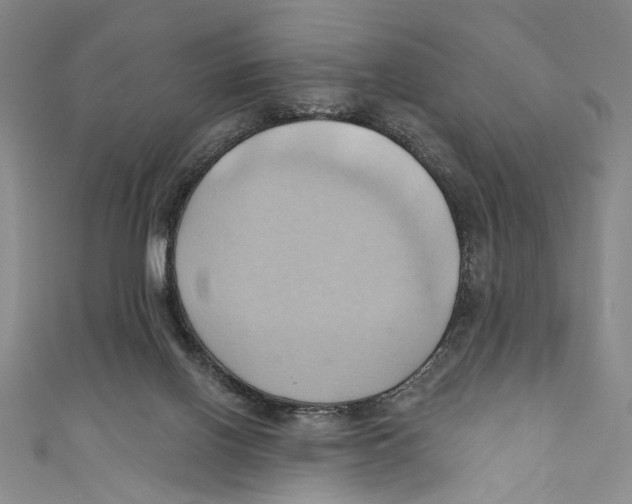 X0000110680070200907101136