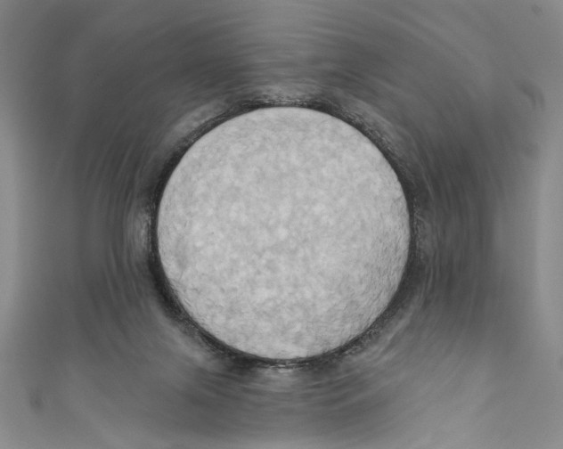 X0000110680071200907101136