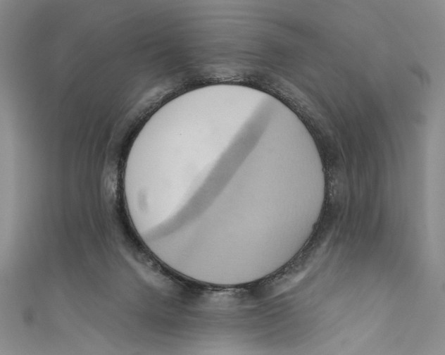 X0000110680072200907101136