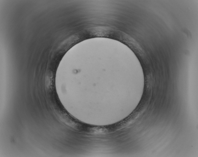 X0000110680073200907101136