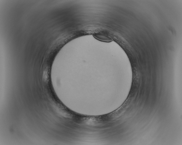X0000110680074200907101136