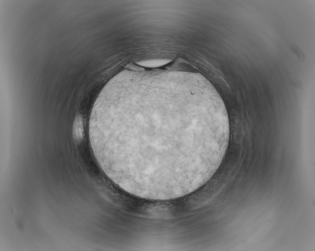 X0000110680075200907101136