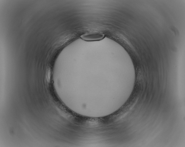 X0000110680076200907101136