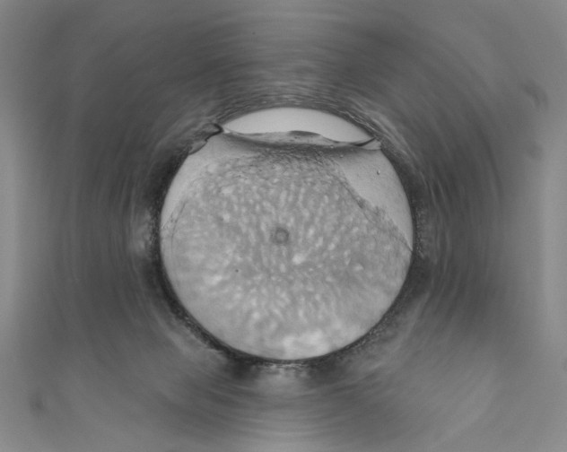 X0000110680077200907101136