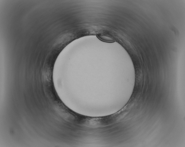 X0000110680078200907101136