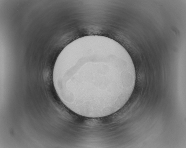 X0000110680079200907101136