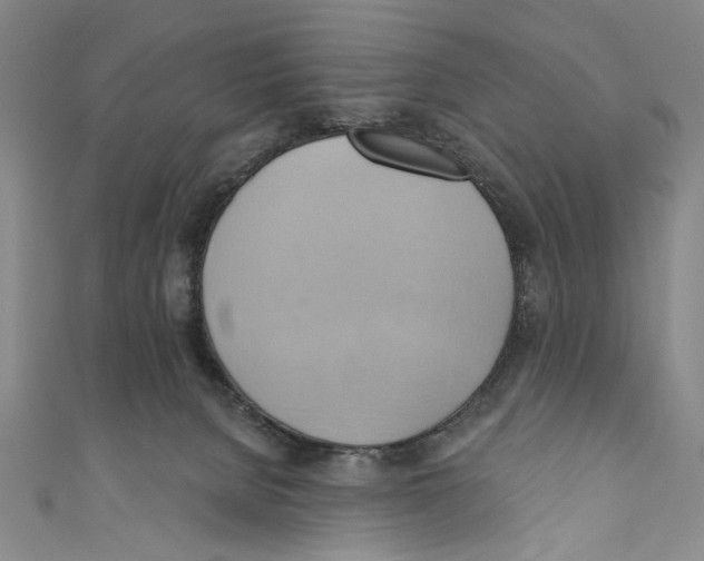 X0000110680080200907101136