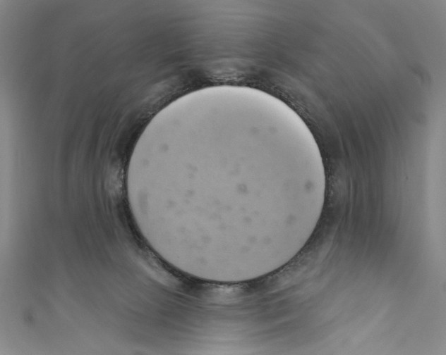 X0000110680081200907101136
