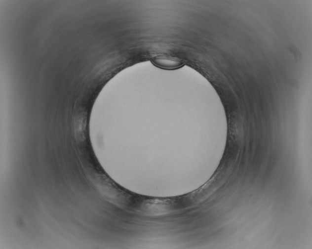 X0000110680082200907101136