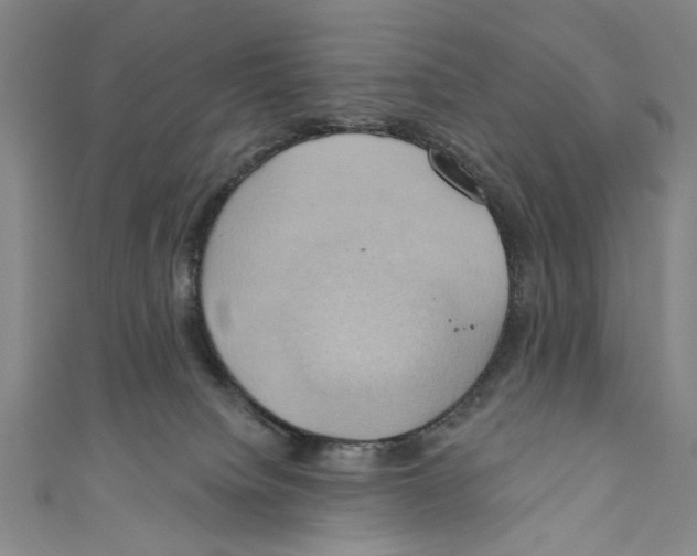 X0000110680084200907101136