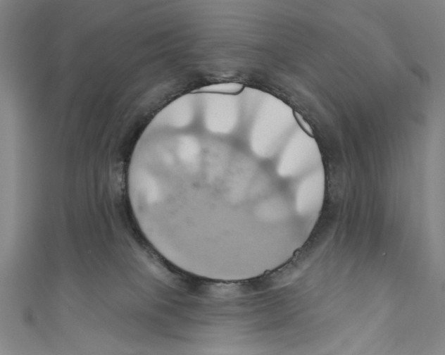 X0000110680085200907101136