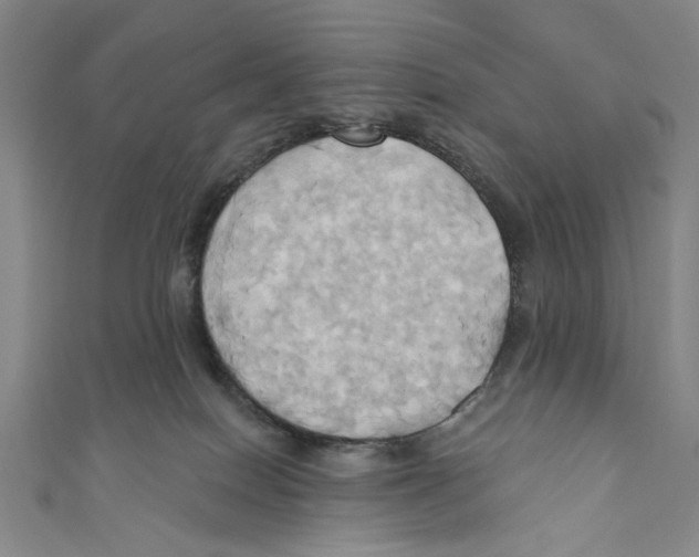 X0000110680086200907101136