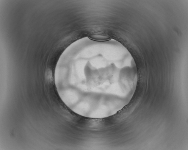 X0000110680089200907101136