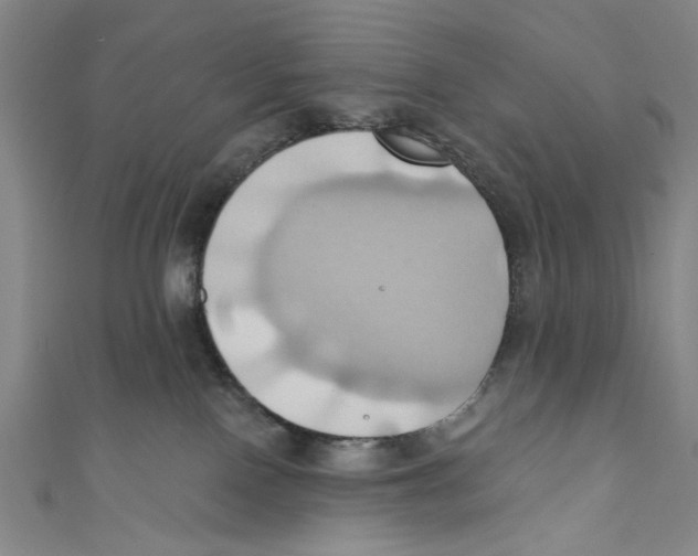 X0000110680090200907101136