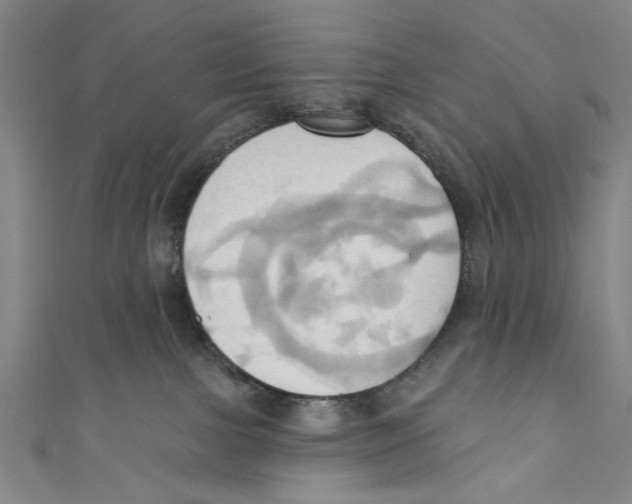 X0000110680091200907101136