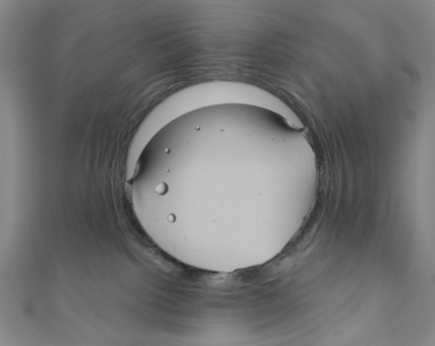 X0000110680092200907101136