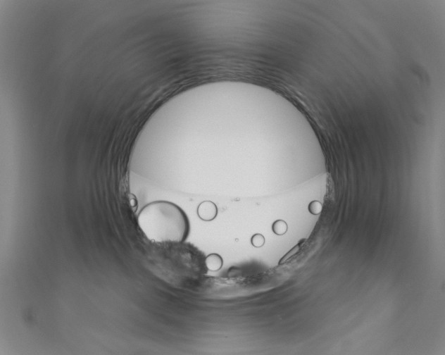 X0000110680093200907101136