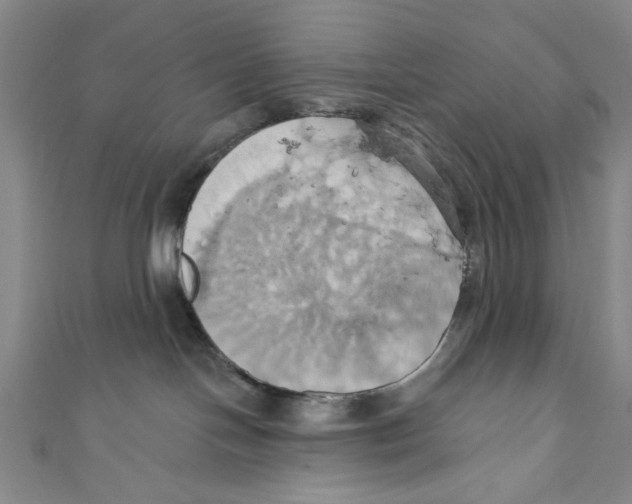X0000110680094200907101136