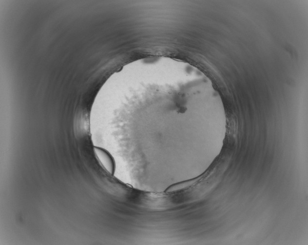 X0000110680095200907101136