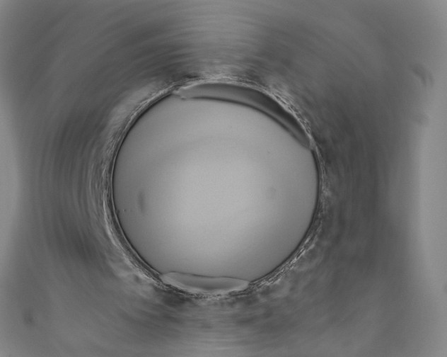 X0000110680097200907101136