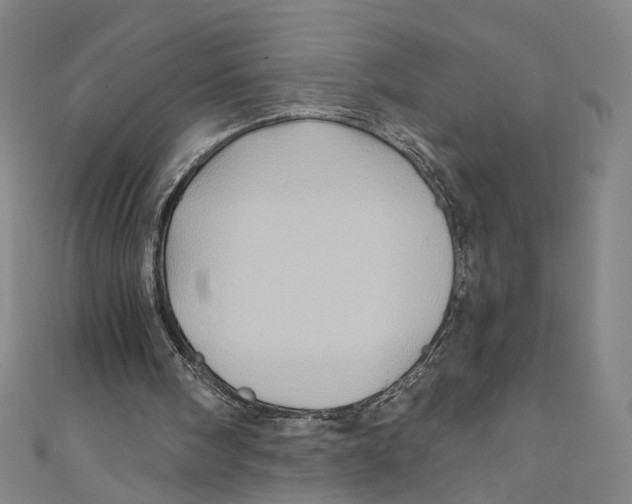 X0000110680098200907101136