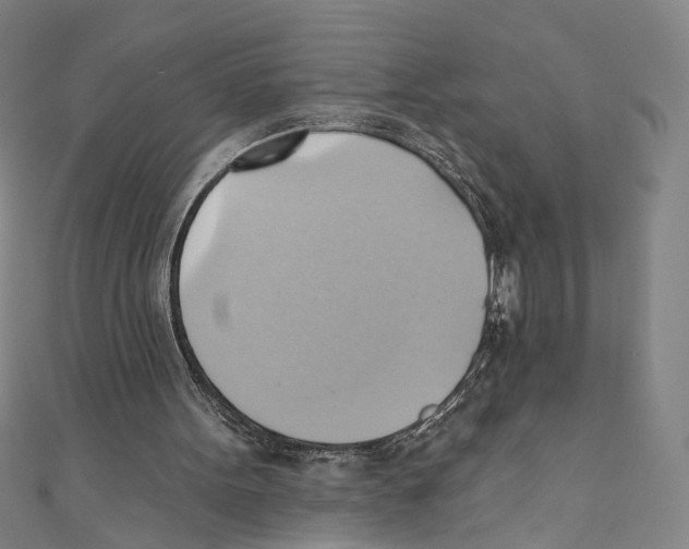 X0000110680099200907101136