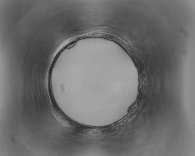 X0000110680100200907101136