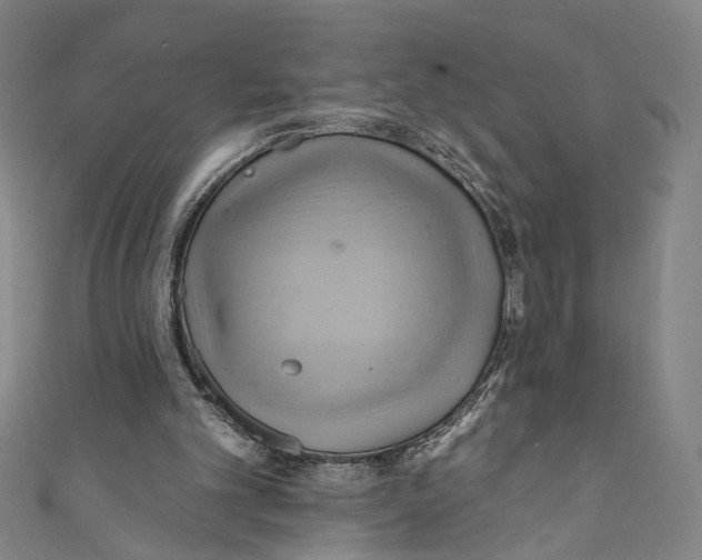 X0000110680101200907101136