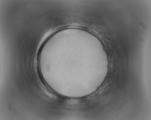 X0000110680102200907101136