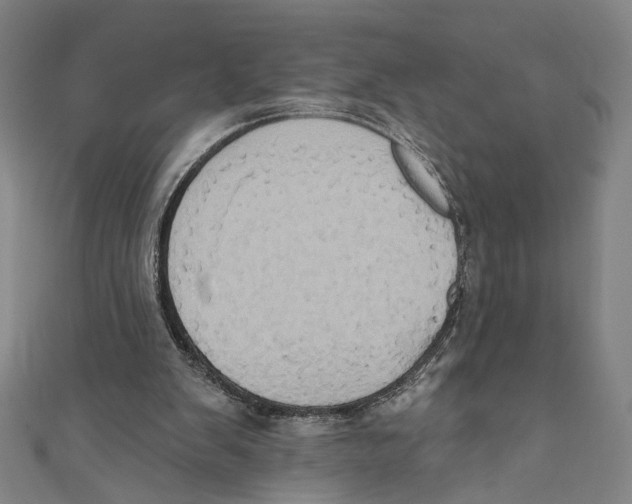 X0000110680103200907101136