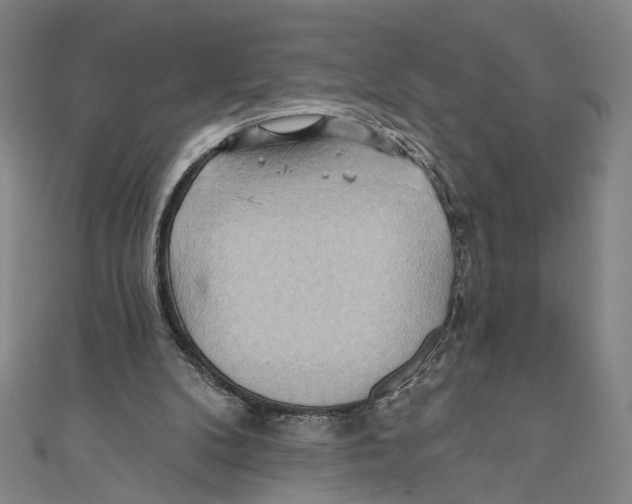 X0000110680104200907101136