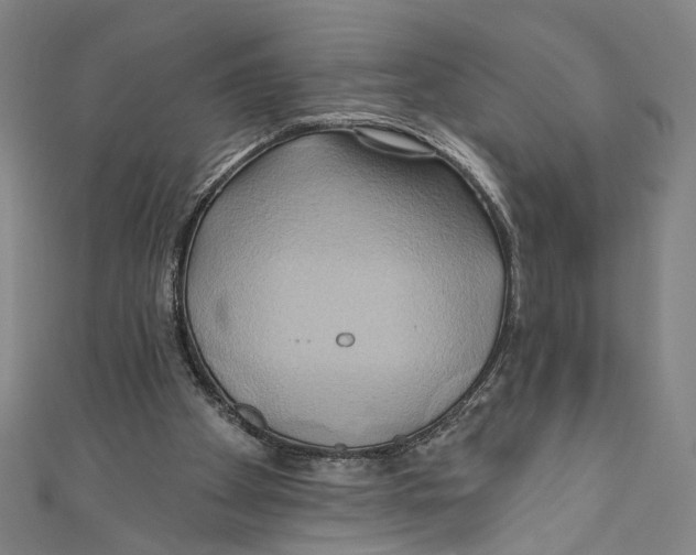 X0000110680105200907101136