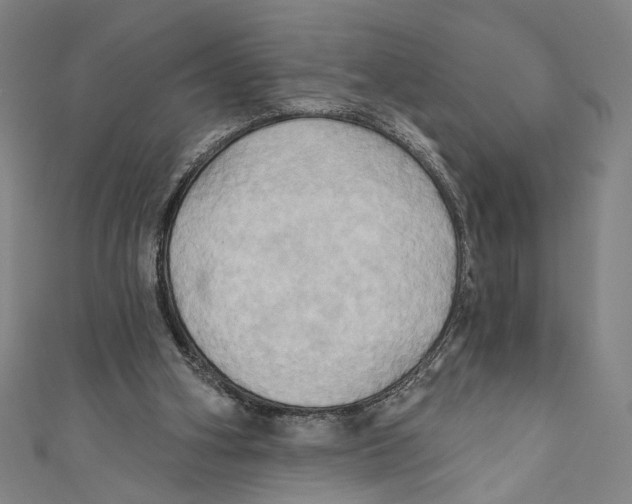 X0000110680106200907101136