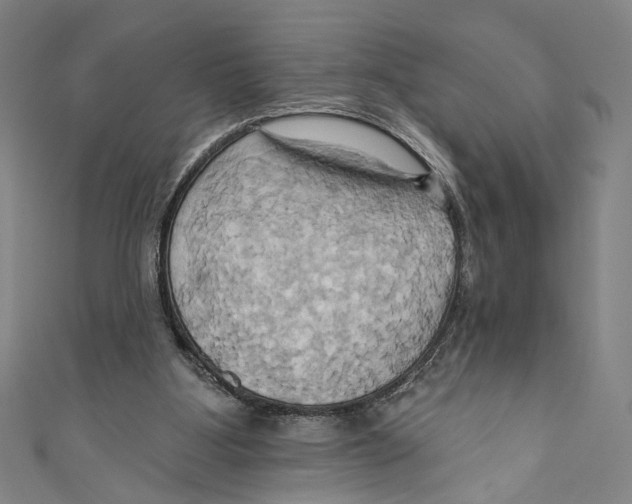 X0000110680107200907101136