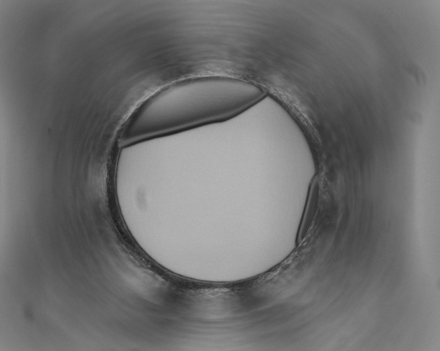 X0000110680108200907101135
