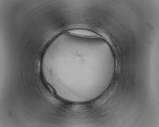 X0000110680109200907101135