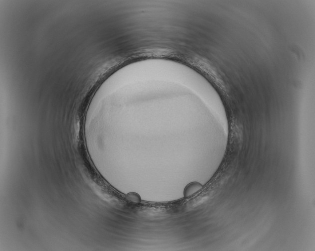 X0000110680110200907101135
