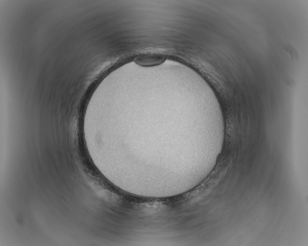 X0000110680112200907101135