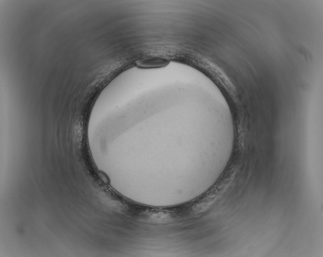X0000110680113200907101135