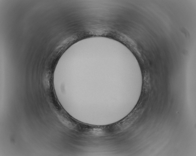 X0000110680114200907101135