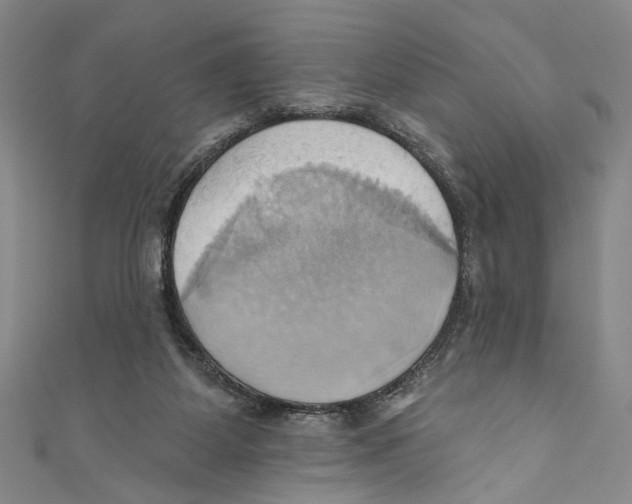X0000110680115200907101135
