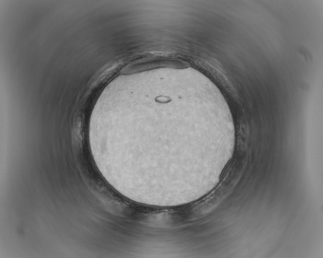 X0000110680116200907101135