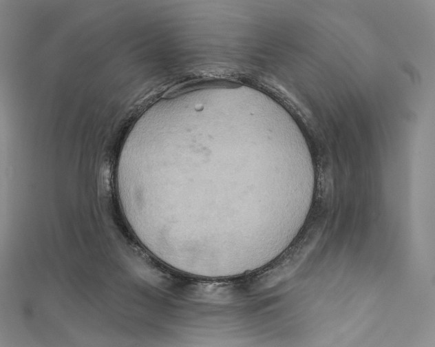 X0000110680117200907101135